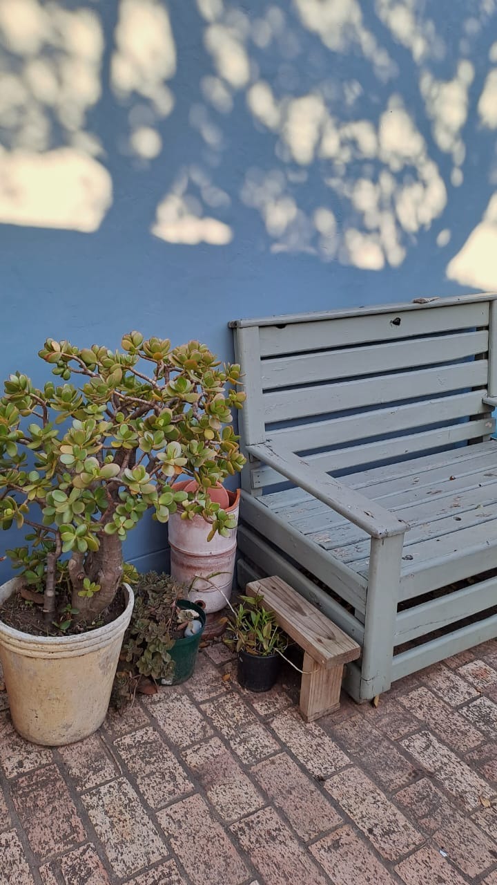 To Let 1 Bedroom Property for Rent in Selborne Eastern Cape